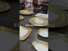 Bens de mesa de melamina de cor branca de alta qualidade Bens de hotel de melamina